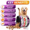 Dog Multivitamin Chewable with Glucosamine Dog Vitamins and Supplements Senior & Puppy Multivitamin for Dogs Pet Joint Support Health Immunity Mobilit