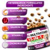 Dog Multivitamin Chewable with Glucosamine Dog Vitamins and Supplements Senior & Puppy Multivitamin for Dogs Pet Joint Support Health Immunity Mobilit