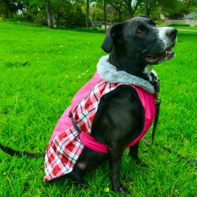 Alpine All-Weather Dog Coat (Color: Raspberry Plaid, size: X-Large)