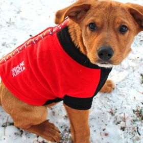 Highline Fleece Coat-Red and Black With Rolling Bones (size: Size 28)