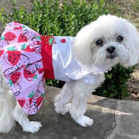 Strawberry Picnic Harness Dress with Matching Leash (size: XLarge)