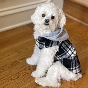 Weekender Dog Sweatshirt Hoodie Black & White Plaid Flannel (size: large)