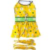 Ladybugs and Daisies Dog Dress with Matching Leash