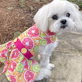 Citrus Slice Harness Dress with Matching Leash (size: small)