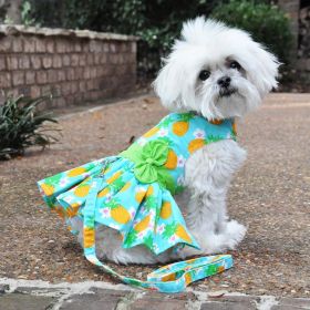 Pineapple Luau Dog Harness Dress with Matching Leash (size: small)