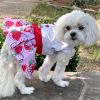 Strawberry Picnic Harness Dress with Matching Leash