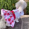 Strawberry Picnic Harness Dress with Matching Leash