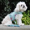 Cool Mesh Dog Harness with Leash